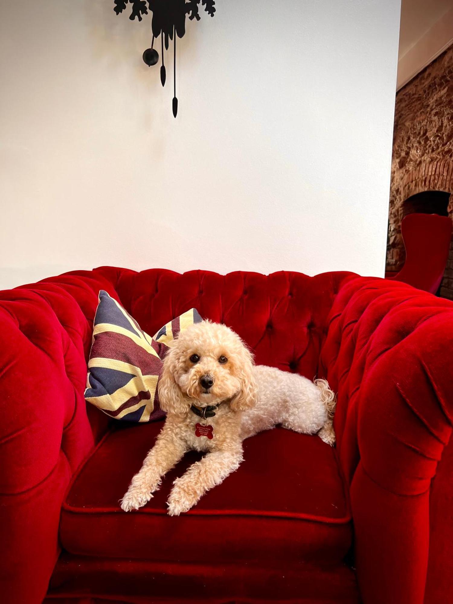 Brightham House - Exclusively For Adults Bed and Breakfast Salcombe Εξωτερικό φωτογραφία