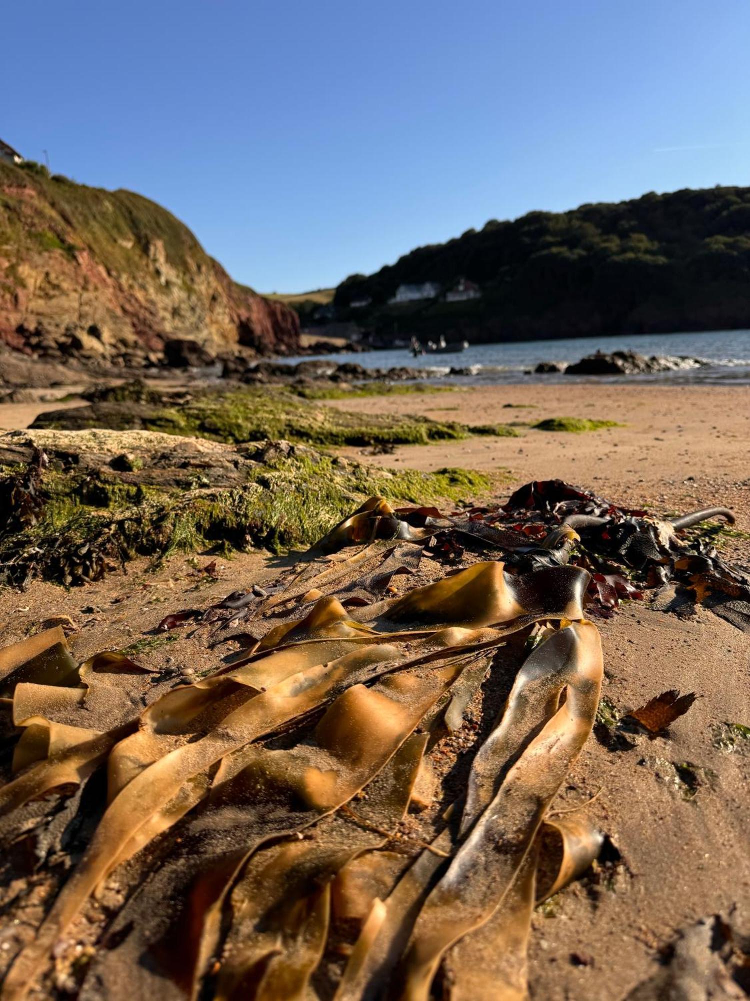Brightham House - Exclusively For Adults Bed and Breakfast Salcombe Εξωτερικό φωτογραφία